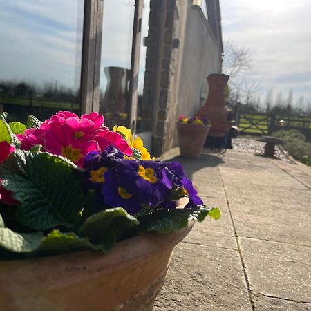 The Hayloft At Stathe Farm Villa Bridgwater Exteriör bild