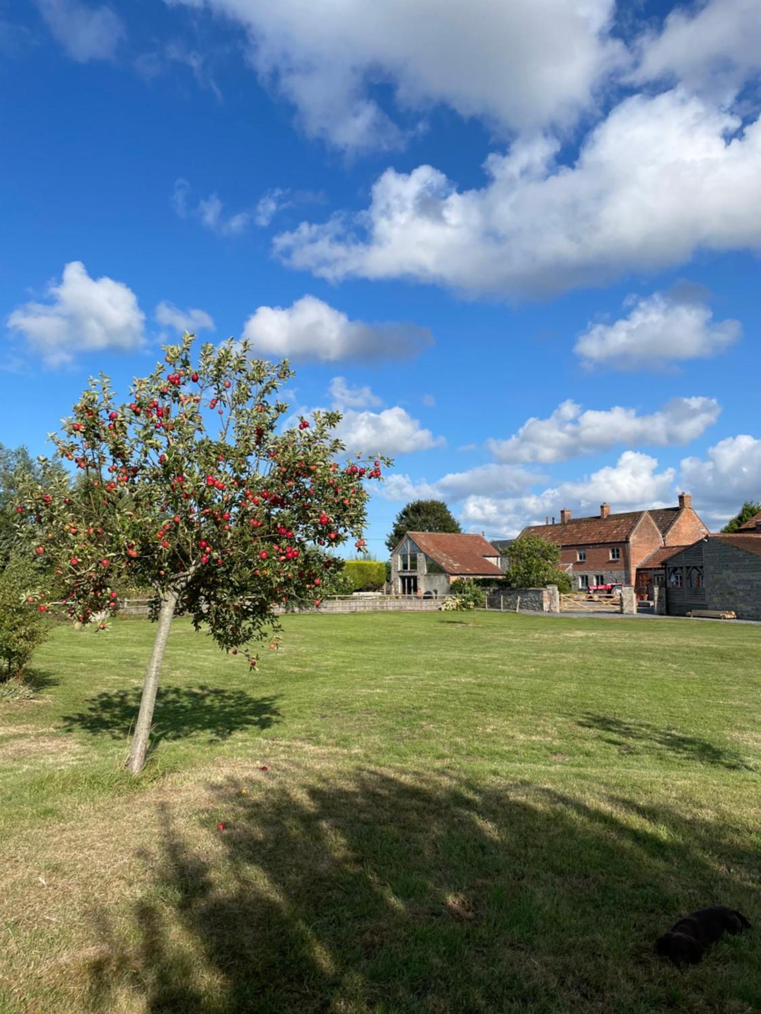 The Hayloft At Stathe Farm Villa Bridgwater Exteriör bild