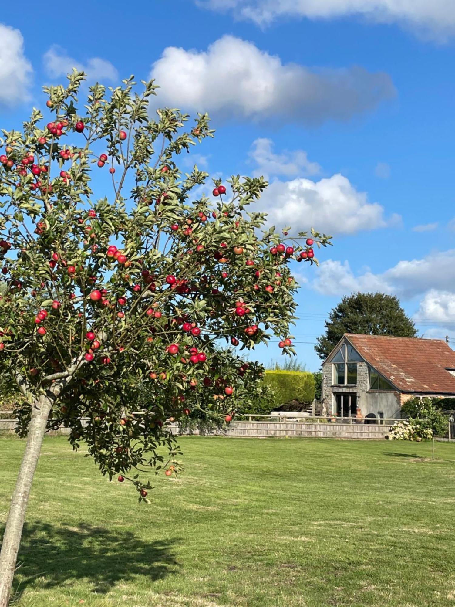 The Hayloft At Stathe Farm Villa Bridgwater Exteriör bild