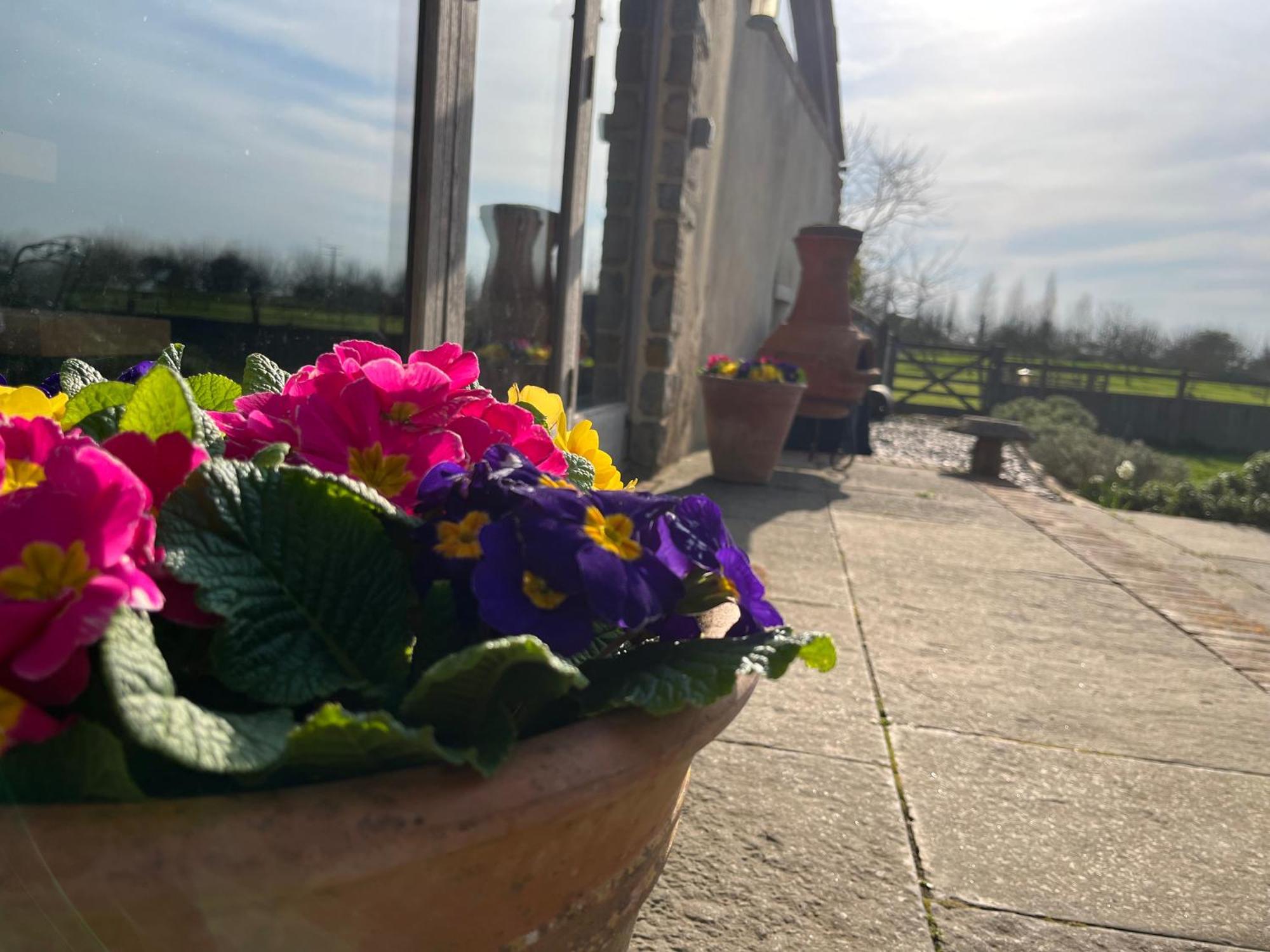 The Hayloft At Stathe Farm Villa Bridgwater Exteriör bild